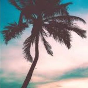 Meet your Posher, Janelle